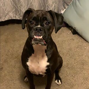 Meet your Posher, Lori